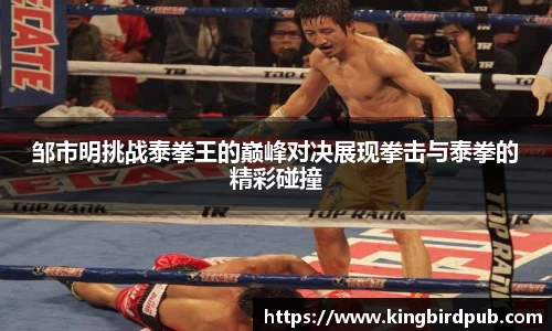 邹市明挑战泰拳王的巅峰对决展现拳击与泰拳的精彩碰撞